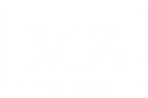 logo footer hotel plaza palmeras